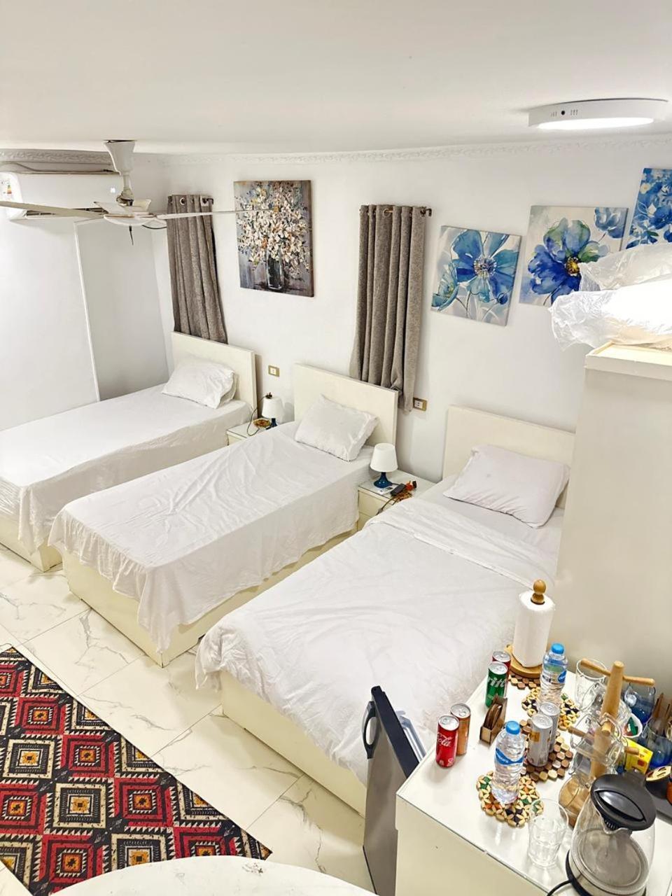 阿斯旺 White House酒店 外观 照片